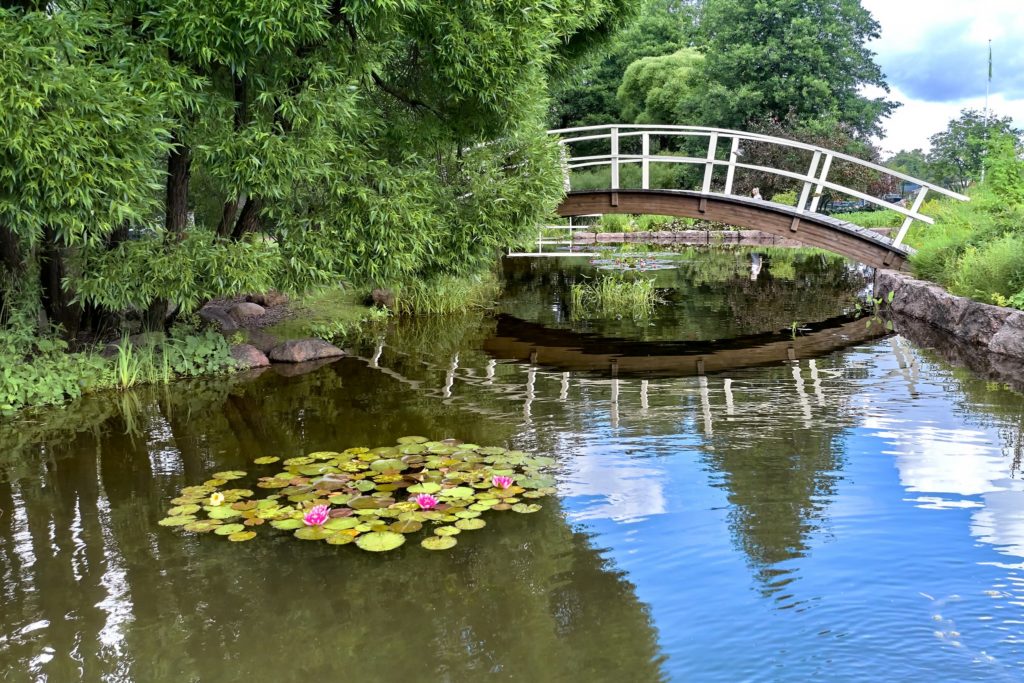 Yksi Karhulan jokipuiston silloista vedestä kuvattuna. Edustalla punaisia lumpeita.