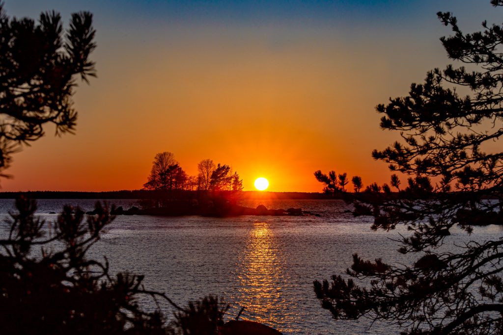 Puiden lomasta ja pienen saaren takaa näkyvä oranssi auringonlasku merellä.