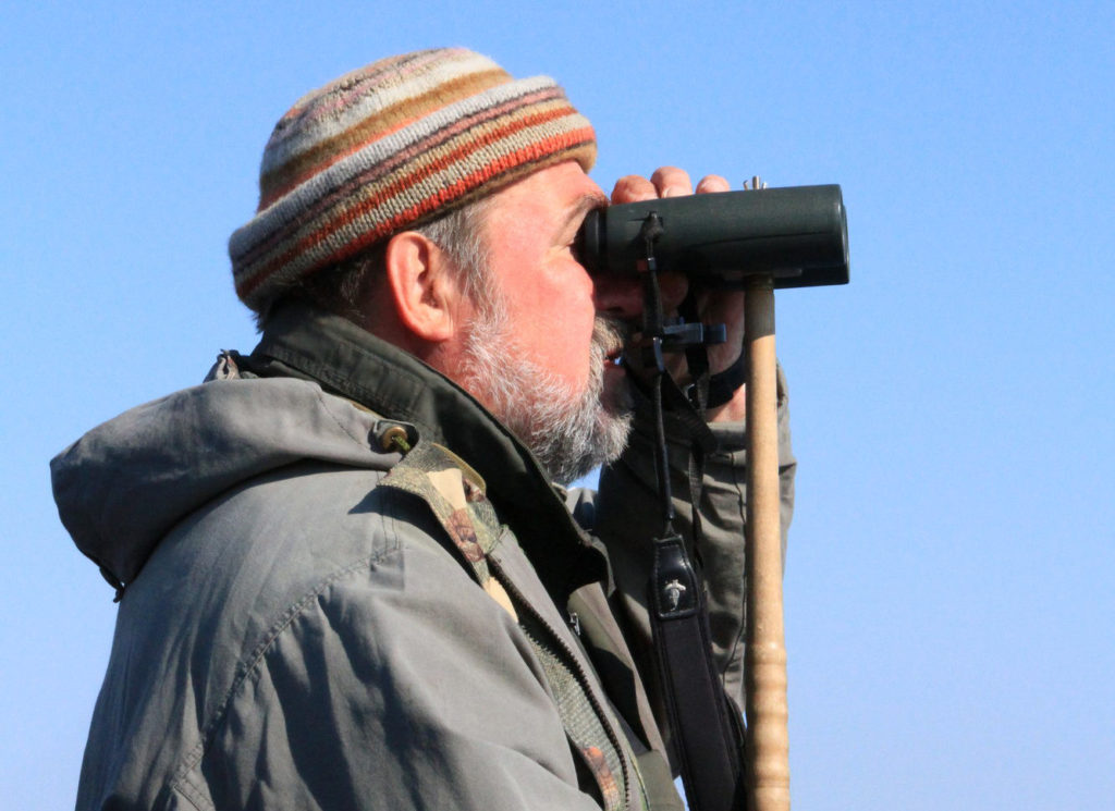 Lintubongari kiikaroi kaukaisuuteen