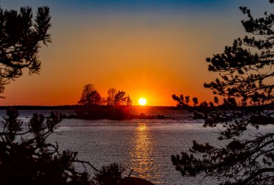 Puiden lomasta ja pienen saaren takaa näkyvä oranssi auringonlasku merellä.